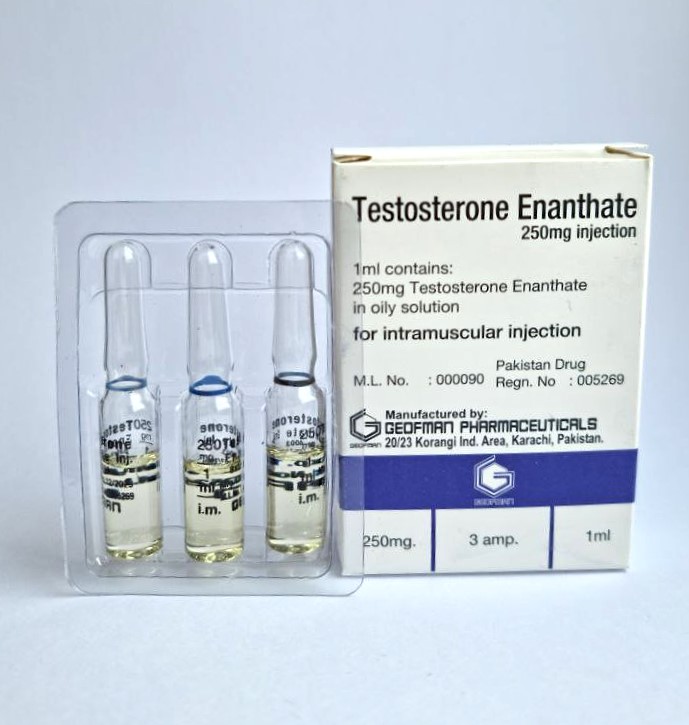 *Geofman Pharmaceuticals Testosterone Enanthate 250 (Box of 3 Amps)